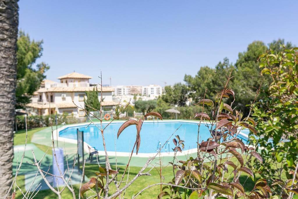 Casa Lilly-Rose, A Beautiful 3 Bedroom Detached Villa A Short Walk To The Villamartin Plaza & Golf Course Dış mekan fotoğraf